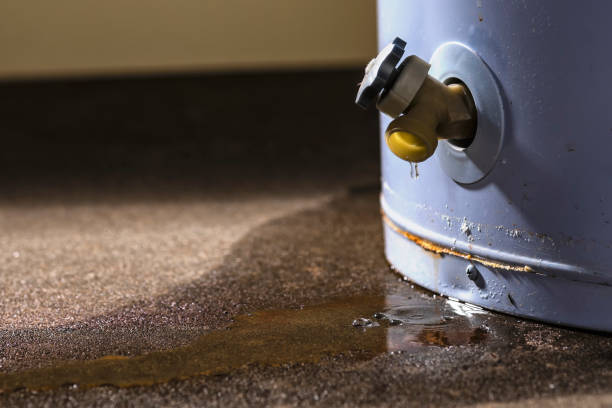 Best Professional water damage repair  in Winnie, TX