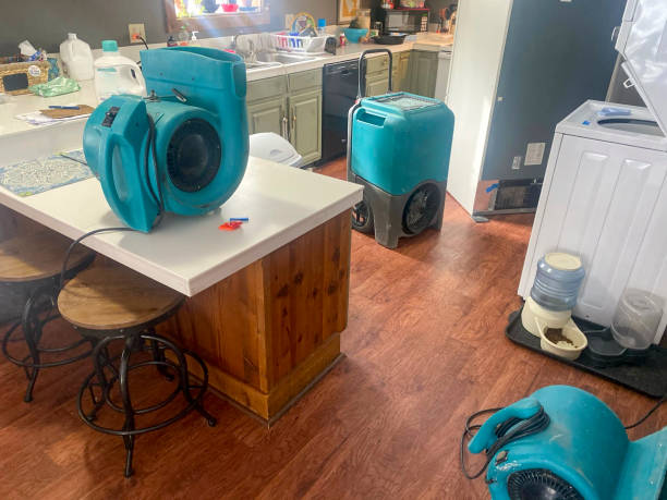 Best Basement water damage restoration  in Winnie, TX