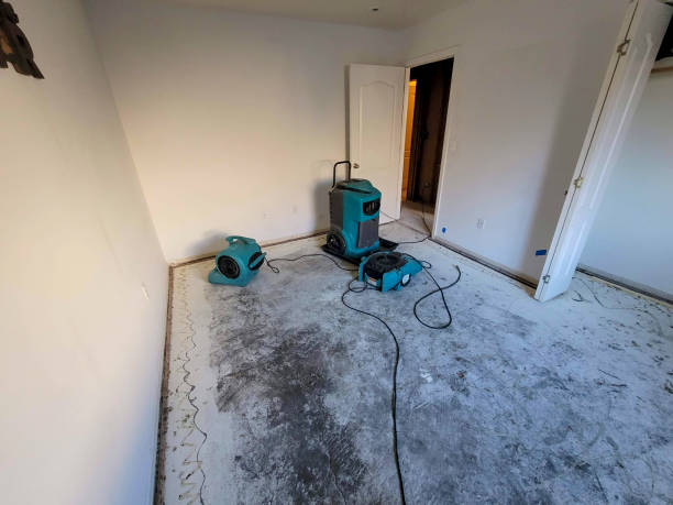 Best Mold removal after water damage  in Winnie, TX