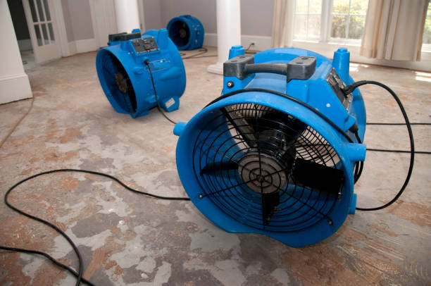 Best Sewage cleanup and water damage restoration  in Winnie, TX