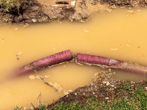 Best Flood restoration services  in Winnie, TX